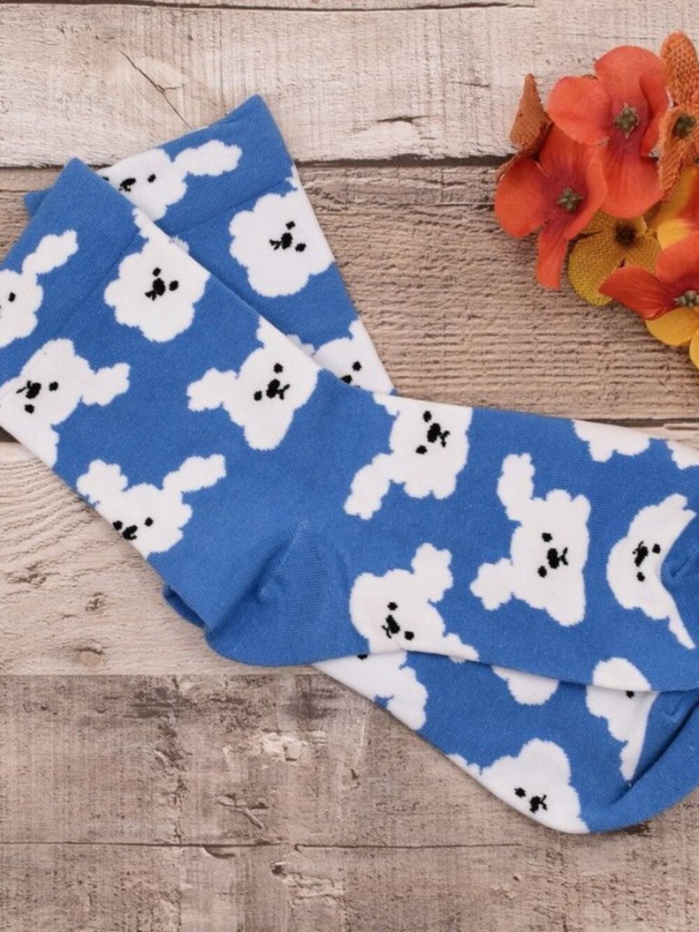Andi Larose Womens Puppy Dog Pattern Socks White on Blue Gift Packaged